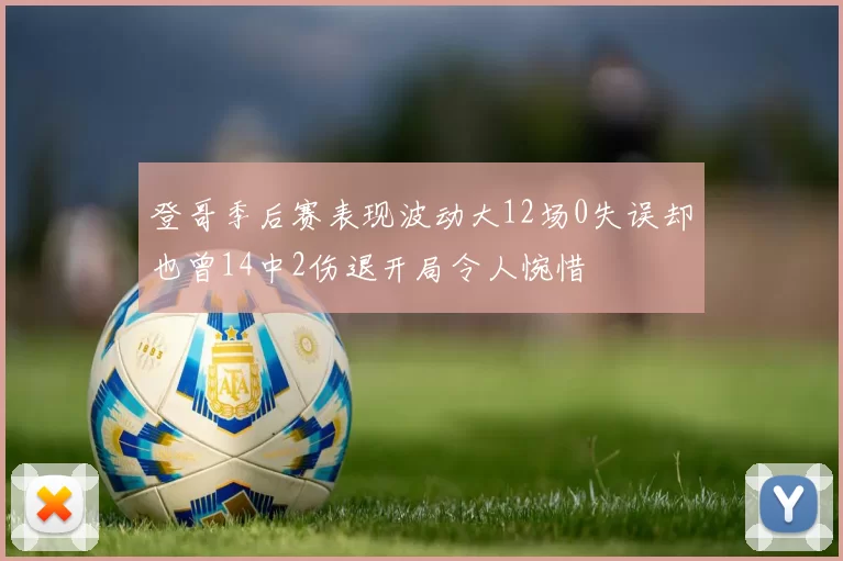 登哥季后赛表现波动大12场0失误却也曾14中2伤退开局令人惋惜
